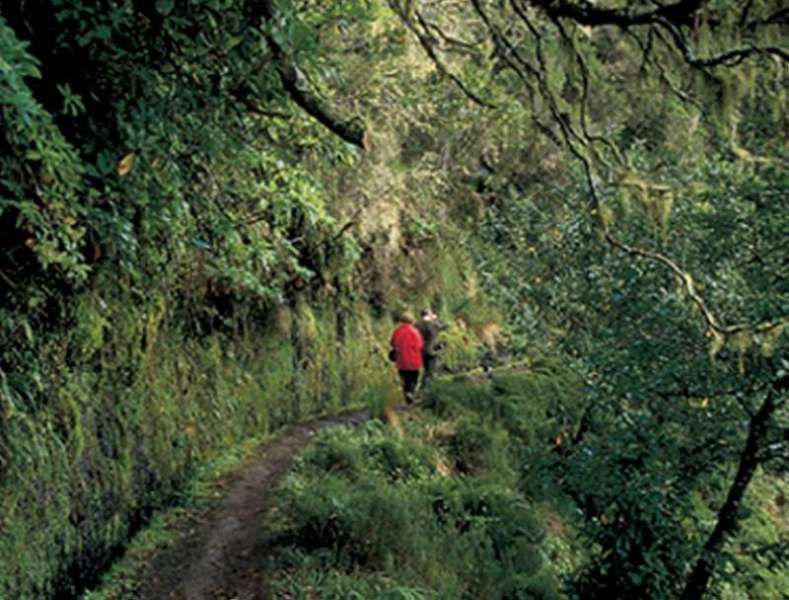 Dorisol Pousada Dos Vinhaticos Serra de Água Exteriér fotografie